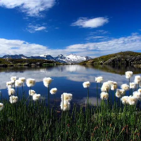 Garni Forelle Otel Tux