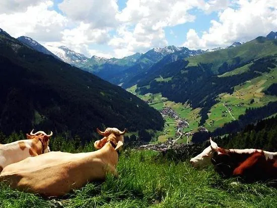 Hotell Garni Forelle Tux