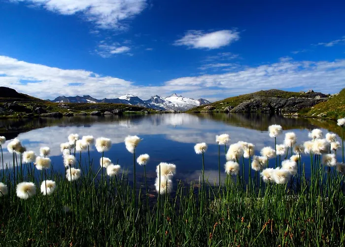 Garni Forelle Hotell Tux