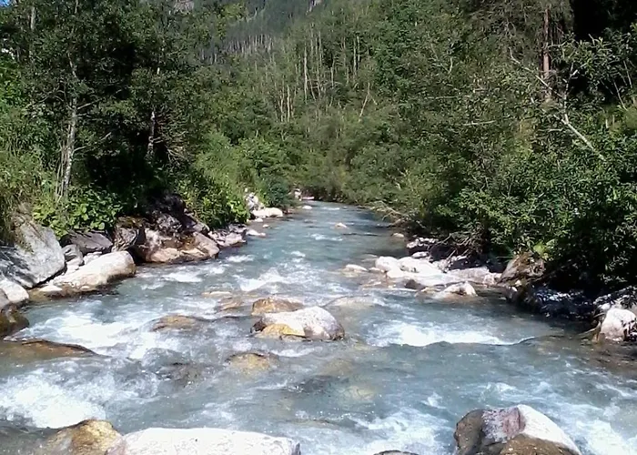 Garni Forelle Hotell