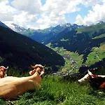 Otel Garni Forelle Tux